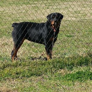 Meet your Posher, Roosevelt